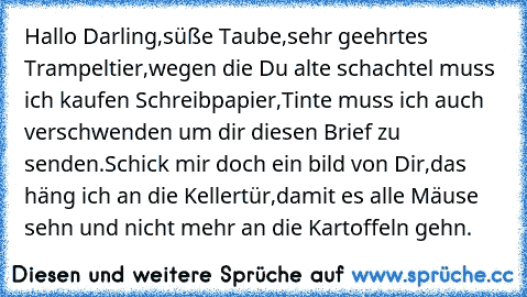 Hallo Darling,
süße Taube,
sehr geehrtes Trampeltier,
wegen die Du alte schachtel muss ich kaufen Schreibpapier,
Tinte muss ich auch verschwenden um dir diesen Brief zu senden.
Schick mir doch ein bild von Dir,
das häng ich an die Kellertür,damit es alle Mäuse sehn und nicht mehr an die Kartoffeln gehn.