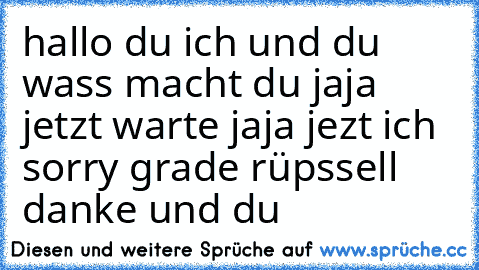 hallo du ich und du wass macht du jaja jetzt warte jaja jezt ich sorry grade rüpssell danke und du