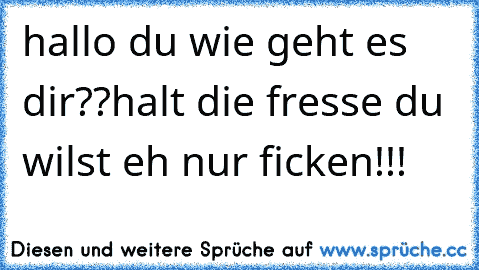 hallo du wie geht es dir??
halt die fresse du wilst eh nur ficken!!!