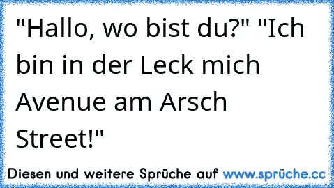 "Hallo, wo bist du?" "Ich bin in der Leck mich Avenue am Arsch Street!"