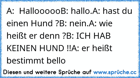 A:  Hallooooo
B: hallo.
A: hast du einen Hund ?
B: nein.
A: wie heißt er denn ?
B: ICH HAB KEINEN HUND !!
A: er heißt bestimmt bello