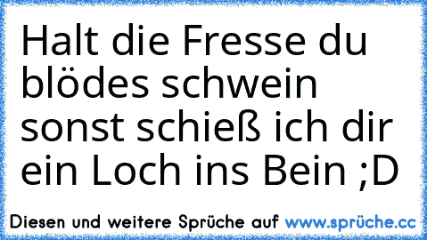 Halt die Fresse du blödes schwein sonst schieß ich dir ein Loch ins Bein ;D