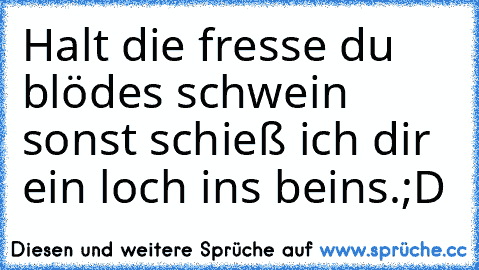 Halt die fresse du blödes schwein sonst schieß ich dir ein loch ins beins.;D