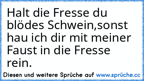 Halt die Fresse du blödes Schwein,sonst hau ich dir mit meiner Faust in die Fresse rein.