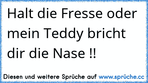 Halt die Fresse oder mein Teddy bricht dir die Nase !!