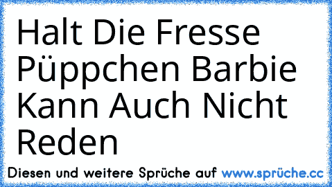 Halt Die Fresse Püppchen Barbie Kann Auch Nicht Reden