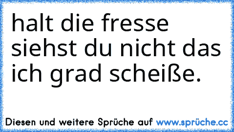 halt die fresse siehst du nicht das ich grad scheiße.