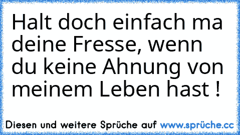 Halt doch einfach ma deine Fresse, wenn du keine Ahnung von meinem Leben hast !