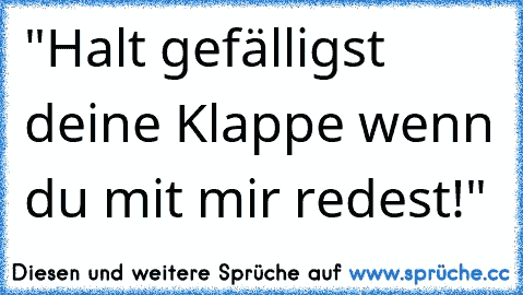 "Halt gefälligst deine Klappe wenn du mit mir redest!"