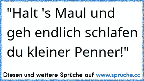 "Halt 's Maul und geh endlich schlafen du kleiner Penner!"