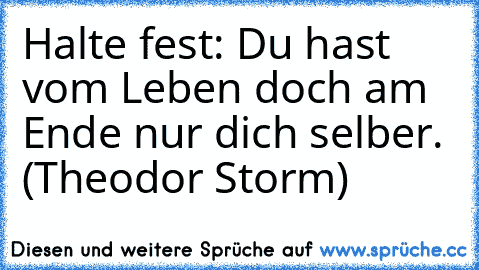 Halte fest: Du hast vom Leben doch am Ende nur dich selber. (Theodor Storm)