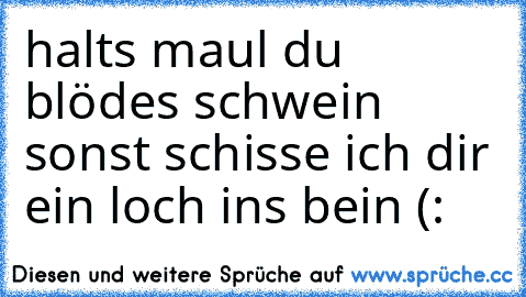 halts maul du blödes schwein sonst schisse ich dir ein loch ins bein (: