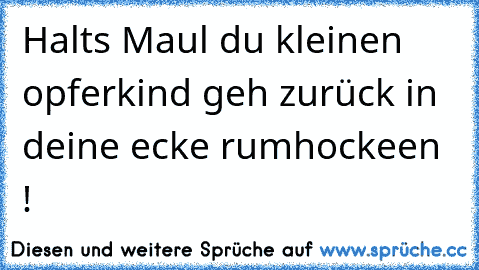 Halts Maul du kleinen opferkind geh zurück in deine ecke rumhockeen !