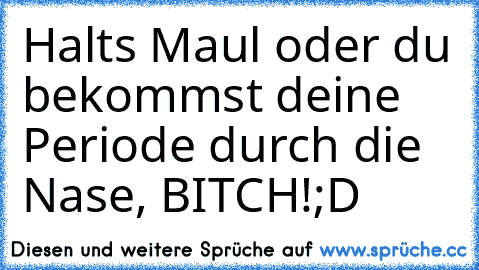 Halts Maul oder du bekommst deine Periode durch die Nase, BITCH!
;D