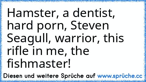 Hamster, a dentist, hard porn, Steven Seagull, warrior, this rifle in me, the fishmaster!