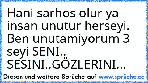 Hani sarhos olur ya insan unutur herseyi. Ben unutamiyorum 3 seyi SENI.. SESINI..GÖZLERINI...♥