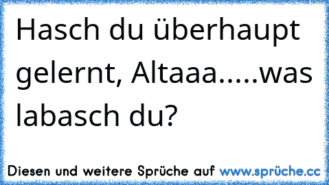 Hasch du überhaupt gelernt, Altaaa.....was labasch du?