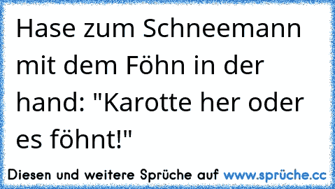 Hase zum Schneemann mit dem Föhn in der hand: "Karotte her oder es föhnt!"