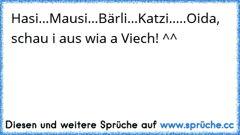 Hasi...Mausi...Bärli...Katzi.....Oida, schau i aus wia a Viech! ^^