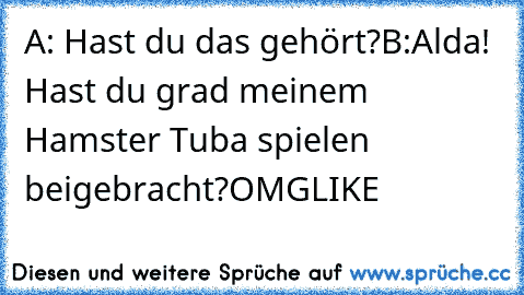 A: Hast du das gehört?
B:Alda! Hast du grad meinem Hamster Tuba spielen beigebracht?OMG
LIKE