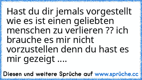 Hast du dir jemals vorgestellt wie es ist einen geliebten menschen zu verlieren ?? ich brauche es mir nicht vorzustellen denn du hast es mir gezeigt ....