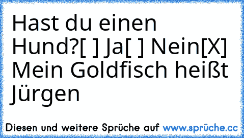 Hast du einen Hund?
[ ] Ja
[ ] Nein
[X] Mein Goldfisch heißt Jürgen