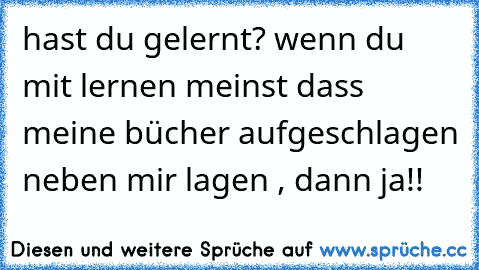 hast du gelernt? wenn du mit lernen meinst dass meine bücher aufgeschlagen neben mir lagen , dann ja!!