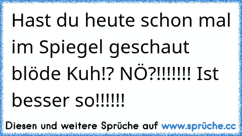 Hast du heute schon mal im Spiegel geschaut blöde Kuh!? NÖ?!!!!!!! Ist besser so!!!!!!