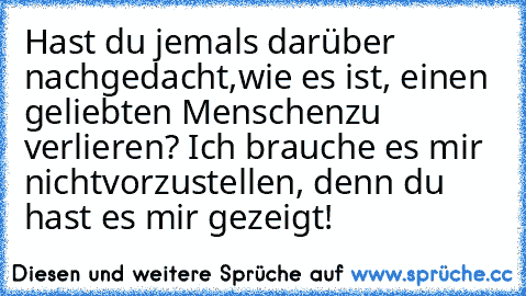 Hast du jemals darüber nachgedacht,
wie es ist, einen geliebten Menschen
zu verlieren? Ich brauche es mir nicht
vorzustellen, denn du hast es mir gezeigt!
       ♥ ♥ ♥