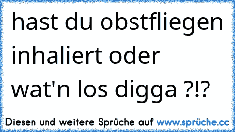 hast du obstfliegen inhaliert oder wat'n los digga ?!?