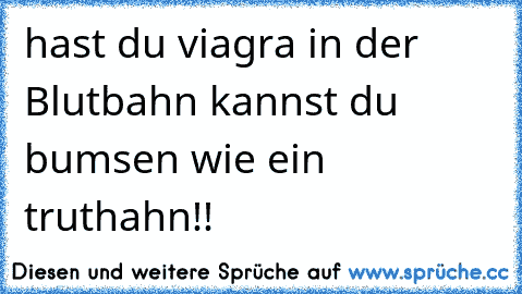 hast du viagra in der Blutbahn kannst du bumsen wie ein truthahn!!