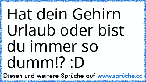 Hat dein Gehirn Urlaub oder bist du immer so dumm!? :D