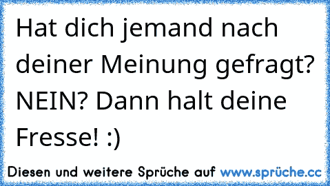 Hat dich jemand nach deiner Meinung gefragt? NEIN? Dann halt deine Fresse! :)