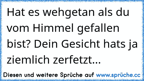 Hat es wehgetan als du vom Himmel gefallen bist? Dein Gesicht hats ja ziemlich zerfetzt...