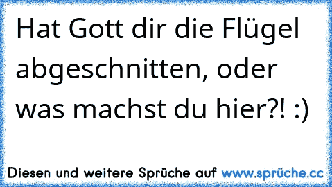 Hat Gott dir die Flügel abgeschnitten, oder was machst du hier?! :)