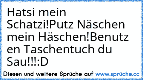 Hatsi mein Schatzi!
Putz Näschen mein Häschen!
Benutz en Taschentuch du Sau!!!
:D