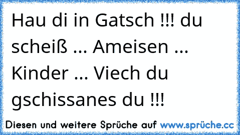 Hau di in Gatsch !!! du scheiß ... Ameisen ... Kinder ... Viech du gschissanes du !!!