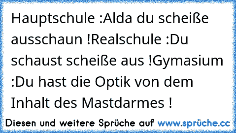 Hauptschule :
Alda du scheiße ausschaun !
Realschule :
Du schaust scheiße aus !
Gymasium :
Du hast die Optik von dem Inhalt des Mastdarmes !