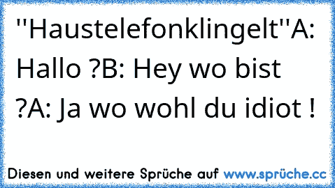 ''Haustelefonklingelt''
A: Hallo ?
B: Hey wo bist ?
A: Ja wo wohl du idiot !