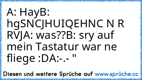 A: Hay
B: hgSNCJHUIQEHNC N R  RVJ
A: was??
B: sry auf mein Tastatur war ne fliege :D
A:-.- "