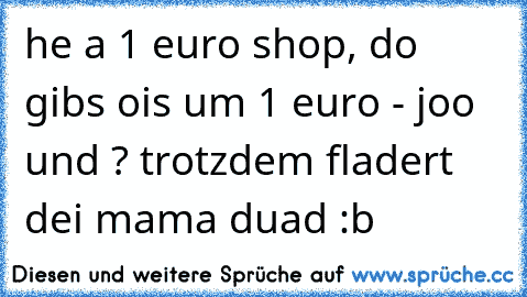 he a 1 euro shop, do gibs ois um 1 euro - joo und ? trotzdem fladert dei mama duad :b