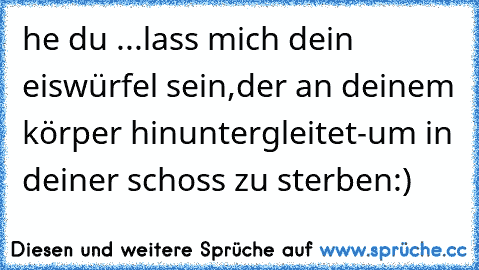 he du ...lass mich dein eiswürfel sein,der an deinem körper hinuntergleitet-um in deiner schoss zu sterben:)