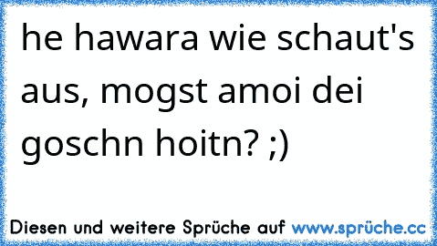 he hawara wie schaut's aus, mogst amoi dei goschn hoitn? ;)