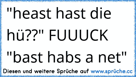 "heast hast die hü??" FUUUCK "bast habs a net"