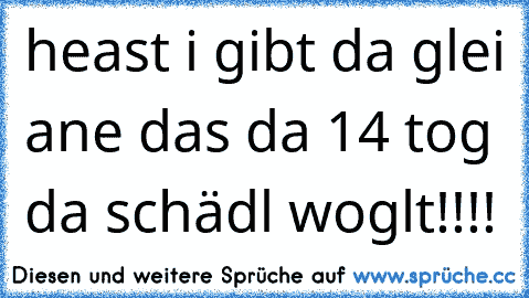 heast i gibt da glei ane das da 14 tog da schädl woglt!!!!