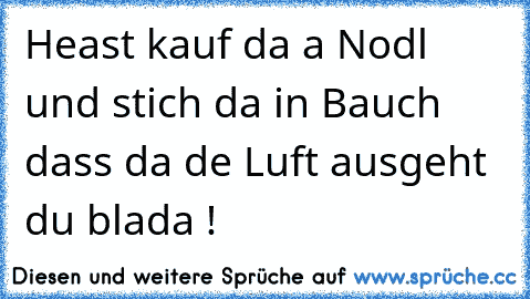 Heast kauf da a Nodl und stich da in Bauch dass da de Luft ausgeht du blada !