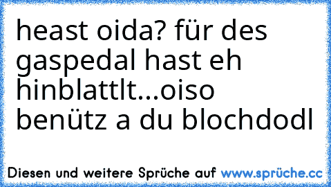 heast oida? für des gaspedal hast eh hinblattlt...oiso benütz a du blochdodl