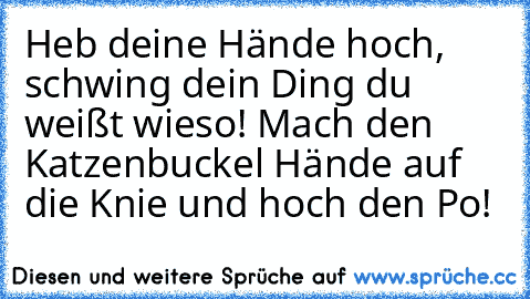 Heb deine Hände hoch, schwing dein Ding du weißt wieso! Mach den Katzenbuckel Hände auf die Knie und hoch den Po!