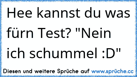 Hee kannst du was fürn Test? "Nein ich schummel :D"