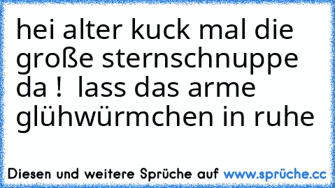 hei alter kuck mal die große sternschnuppe da !  lass das arme glühwürmchen in ruhe